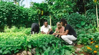 Matheo und Lynn hocken in einer Plantage, wo sie ihre Freiwilligenarbeit im ökologischen Bereich auf Sansibar leisten. Sie arbeiten freiwillig in einem Permakultur-Projekt auf Sansibar. Lynn setzt sich für Biodiversität ein.