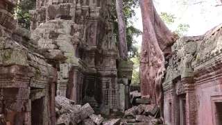 Zu sehen ist eine Tempelanlage. Die Steine sind rötlich und teilweise mit Moos und anderen grünen Verfärbungen bedeckt. Teilweise sind Gebäude erhalten, teilweise liegen viele Steine wie zusammengebrochen am Boden. Bäume wachsen in die Ruine hinein.