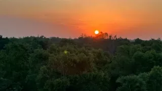 Auf dem Bild ist ein Sonnenaufgang über Auroville zu sehen.