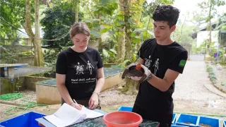 Freiwilligenarbeit im Tierschutz ist sehr beliebt: Hier engagieren sich Marie und Edgar für den Schutz der Schildkröten in Vietnam und Costa Rica.