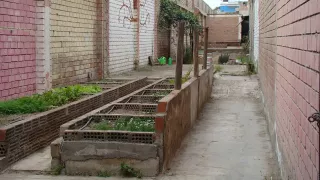 Between two colourful brick walls are garden plots, lined with bricks and planted with greenery.