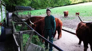 Le volontaire Omar se trouve dans un parc animalier à côté de trois bœufs et une mangeoire.