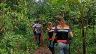 Zu sehen sind fünf Menschen die mit dem Rücken zur Kamera gerichtet sind und über einen einfachen Pfad durch den philippinischen Regenwald laufen. Zwei tragen orange-blaue Warnwesten.