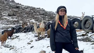 Die Freiwillige Nora Herborn hat ihr fsj mit ADRA Deutschland in Bolivien absolviert. Es ist Winter, im Hintergrund sind Alpakas auf einem mit Schnee bedeckten steinigen Hügel zu sehen.