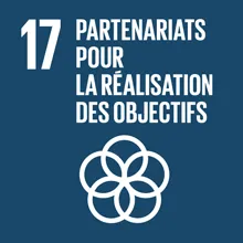 Carreau portant l’emblème de l’objectif de développement durable 17 des Nations Unies : Partenariats pour la réalisation des objectifs.
