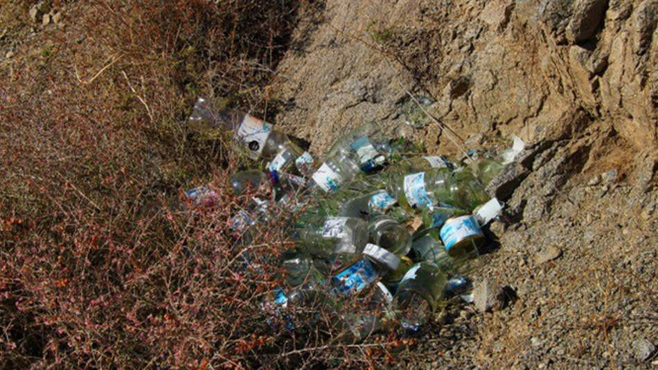 Viele leere Plastikflaschen liegen in einem Loch in der Landschaft